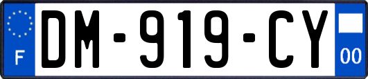 DM-919-CY