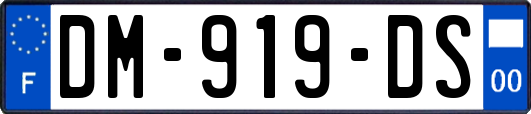 DM-919-DS