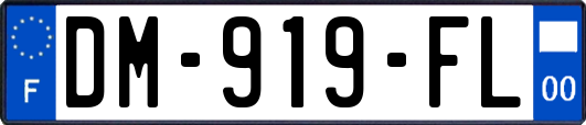 DM-919-FL