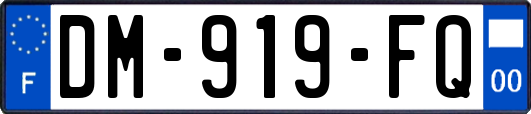 DM-919-FQ