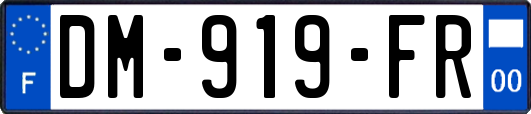 DM-919-FR