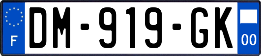 DM-919-GK