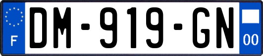 DM-919-GN