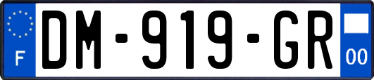 DM-919-GR