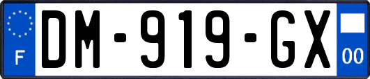 DM-919-GX