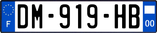 DM-919-HB