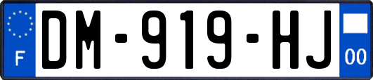 DM-919-HJ