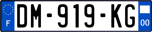 DM-919-KG