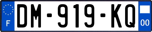 DM-919-KQ