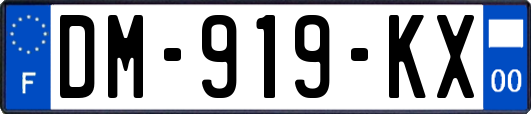 DM-919-KX
