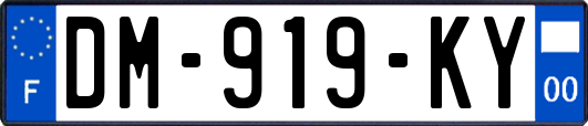 DM-919-KY