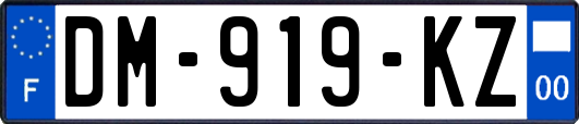 DM-919-KZ