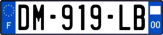 DM-919-LB
