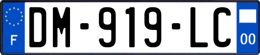 DM-919-LC