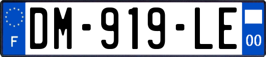 DM-919-LE