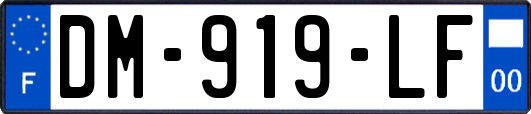 DM-919-LF