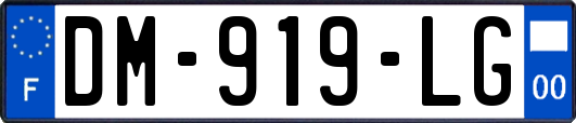DM-919-LG