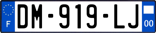 DM-919-LJ