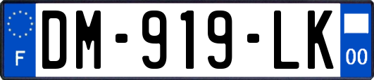 DM-919-LK