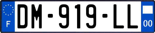 DM-919-LL