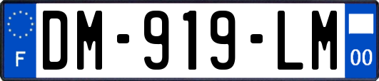 DM-919-LM