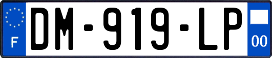DM-919-LP