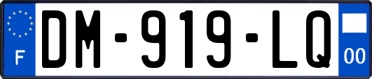 DM-919-LQ