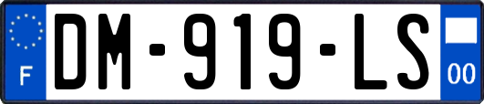 DM-919-LS