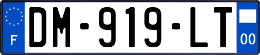 DM-919-LT