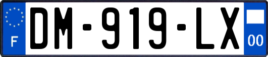 DM-919-LX