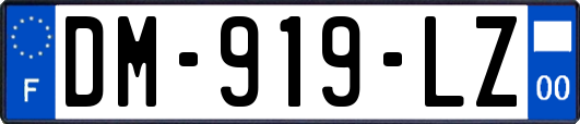 DM-919-LZ