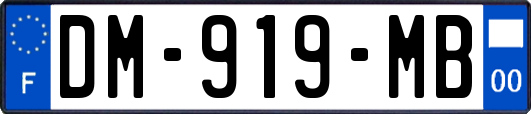 DM-919-MB