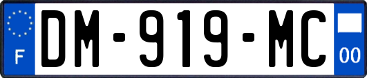 DM-919-MC