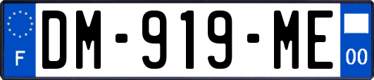 DM-919-ME