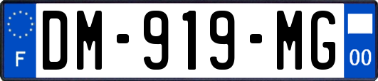 DM-919-MG