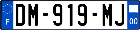 DM-919-MJ