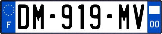 DM-919-MV