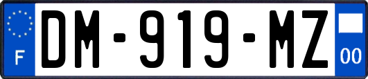 DM-919-MZ