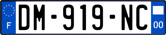 DM-919-NC