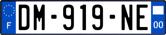 DM-919-NE