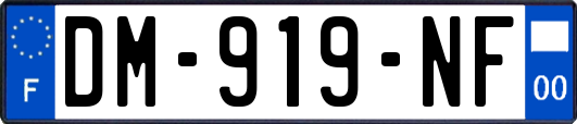 DM-919-NF