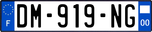 DM-919-NG