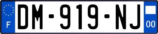 DM-919-NJ