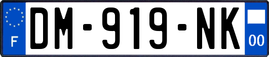DM-919-NK