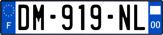 DM-919-NL