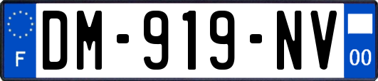 DM-919-NV