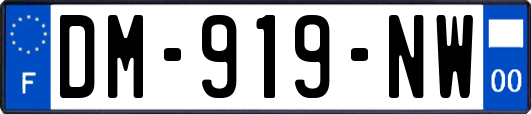 DM-919-NW