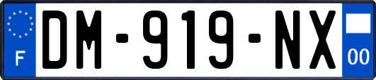 DM-919-NX