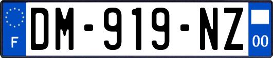 DM-919-NZ