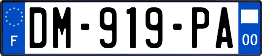 DM-919-PA